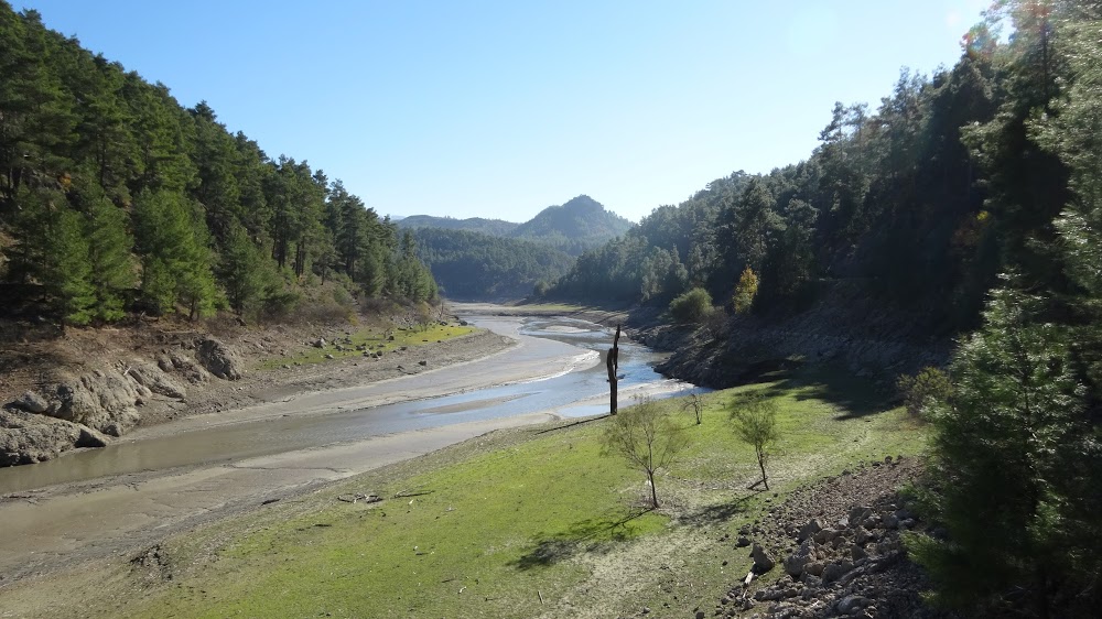 Elsazı Yenice İlkokulu Fotoğrafları 5