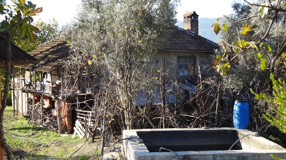 Elsazı Yenice İlkokulu Fotoğrafları 2