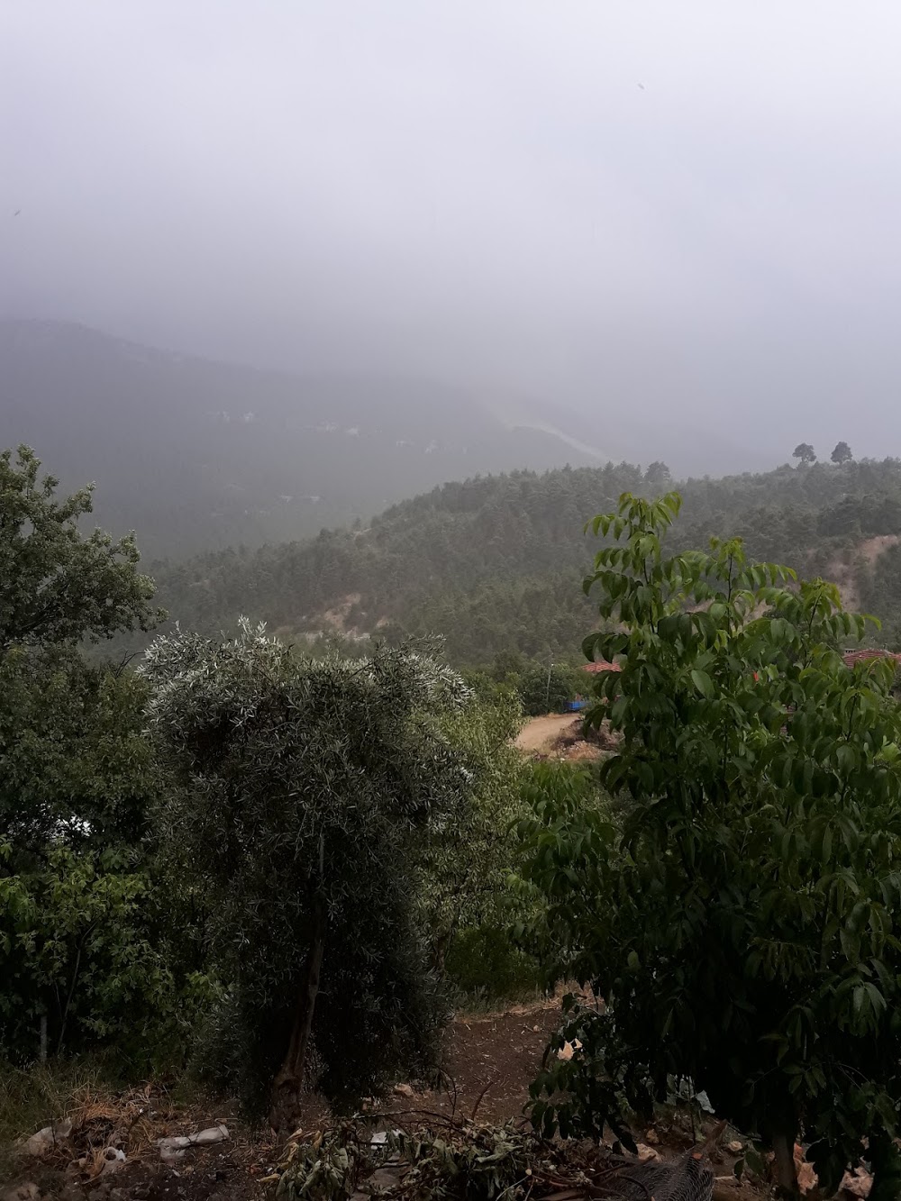 Taşyayla Afetevler İlkokulu Fotoğrafları 6