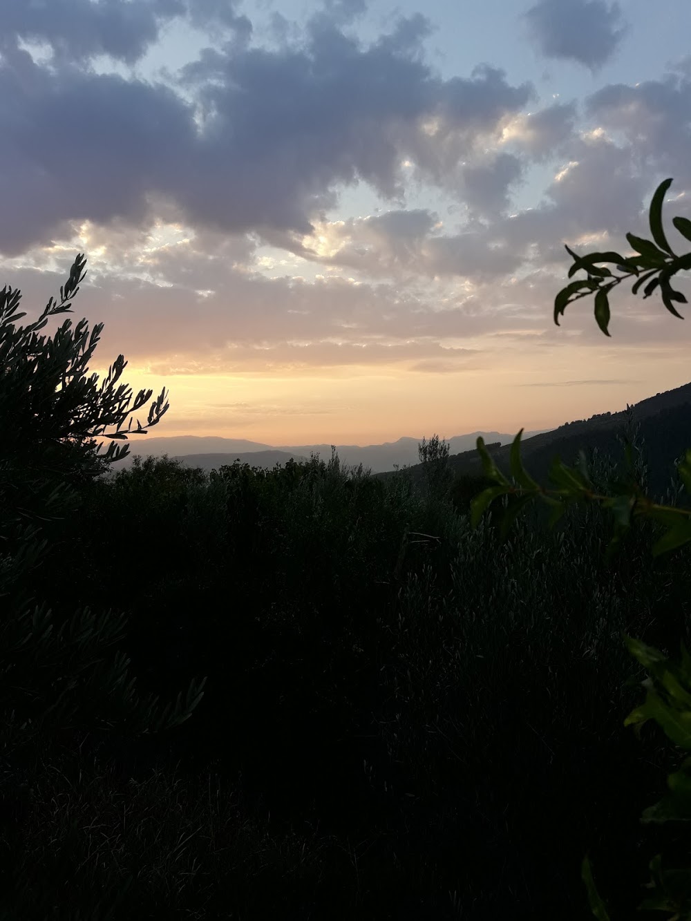 Taşyayla Afetevler İlkokulu Fotoğrafları 7