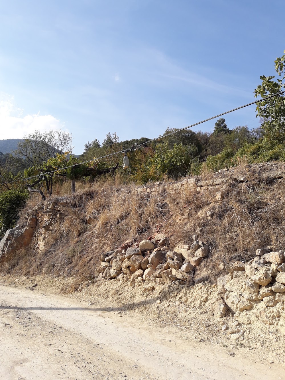 Taşyayla Afetevler İlkokulu Fotoğrafları 3