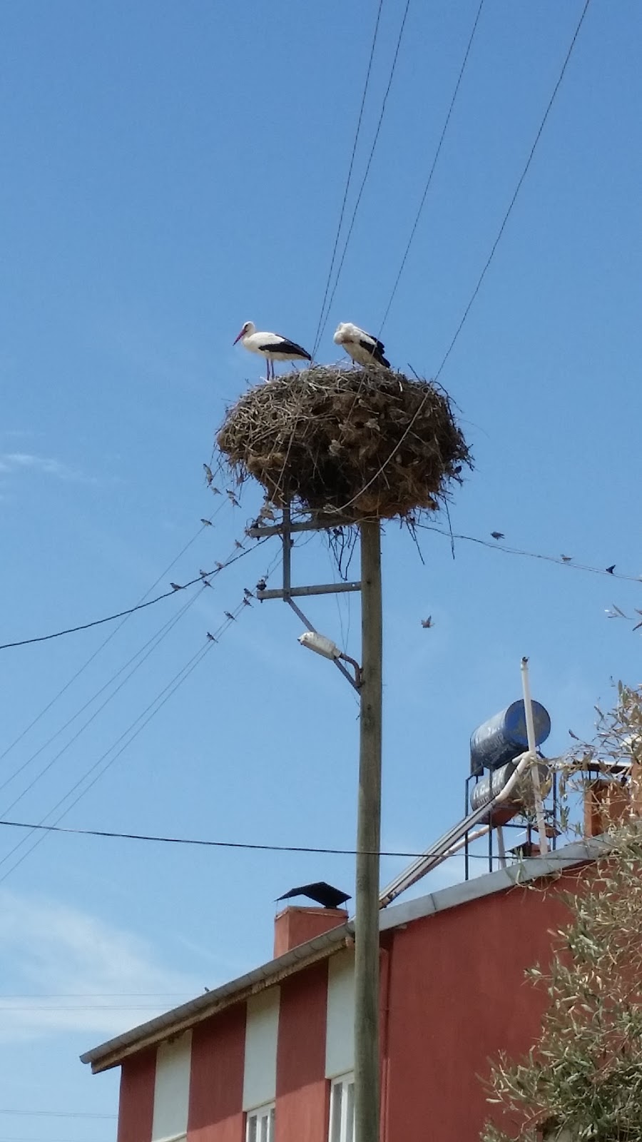 Burdur Sakarya İlkokulu Fotoğrafları 1