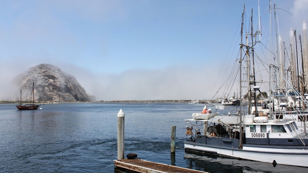 Gemlik 100. Yıl İlkokulu Fotoğrafları 2