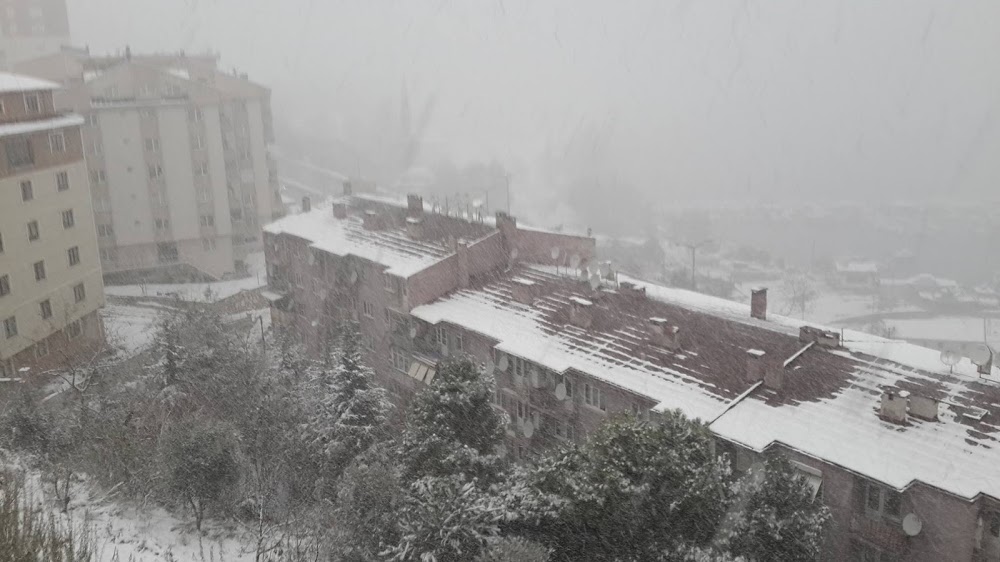 Gemlik Celal Bayar Anadolu Lisesi Fotoğrafları 2