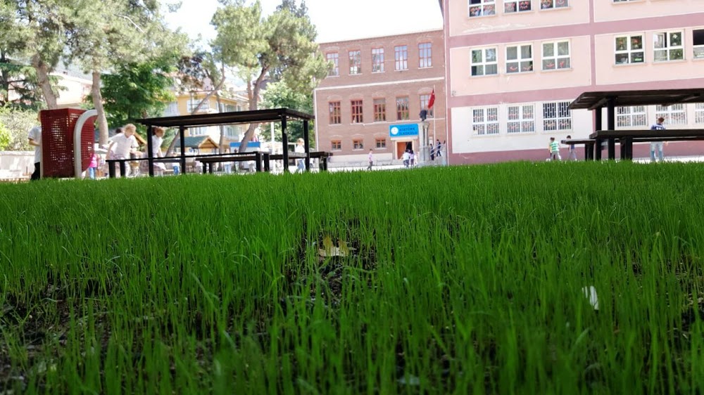 Gemlik Atatürk İlkokulu Fotoğrafları 8