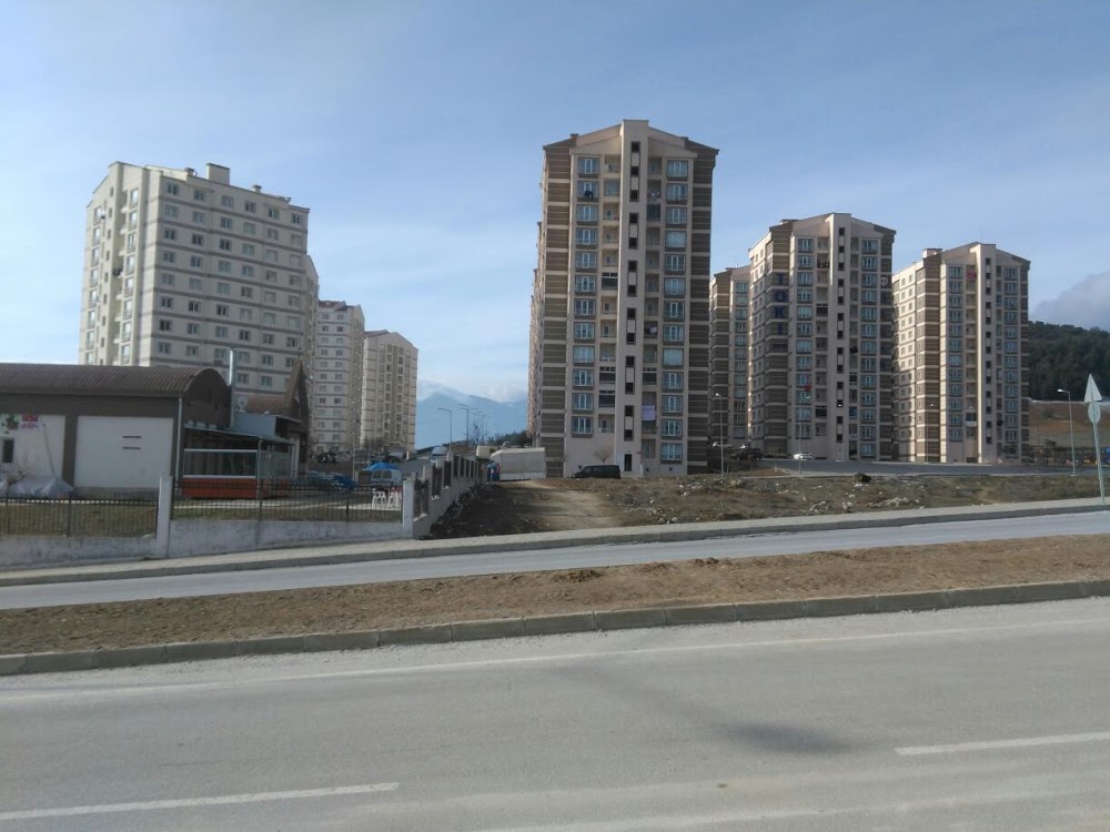 Gürsu Toki Anadolu İmam Hatip Lisesi Fotoğrafları 2