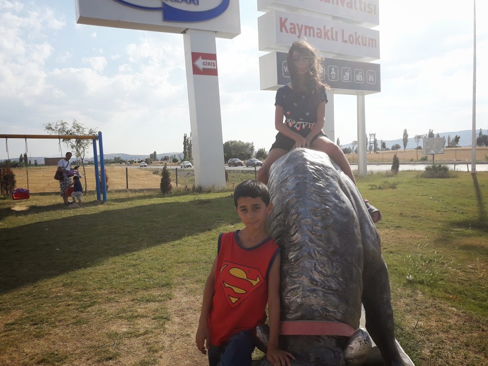 Gürsu Karahıdır İlkokulu Fotoğrafları 2