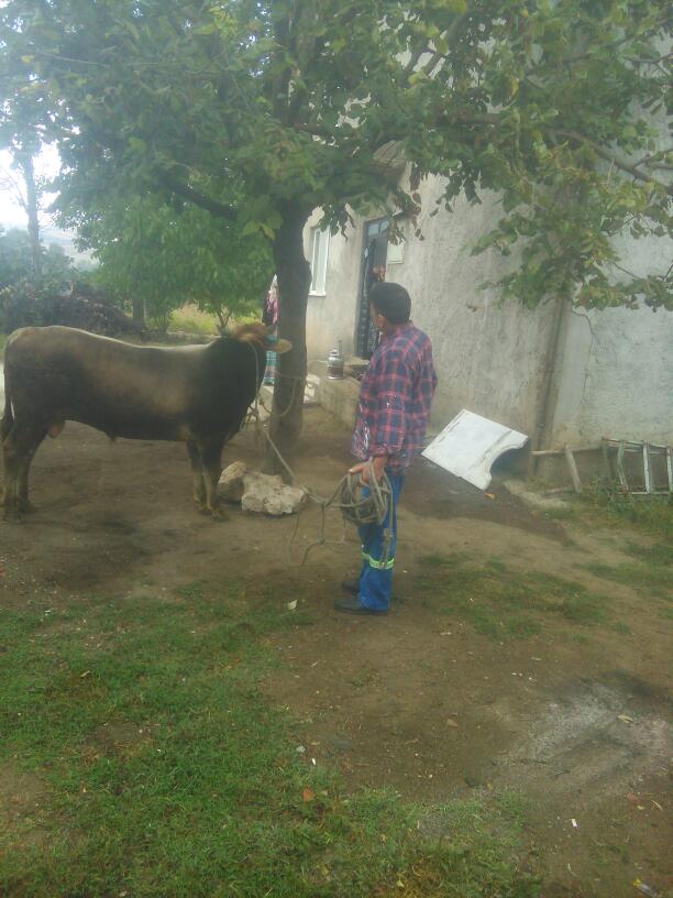 Bilal İlkokulu Fotoğrafları 1