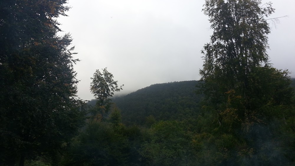 Çayyaka İlkokulu Fotoğrafları 2