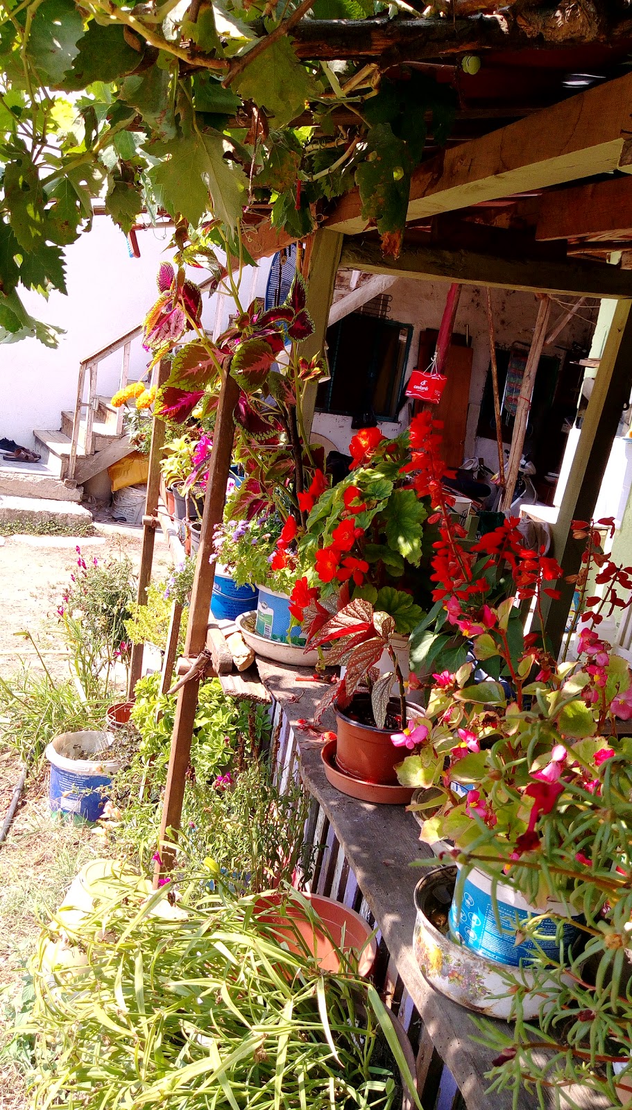 Çitli Nihat Korkmaz İlkokulu Fotoğrafları 1