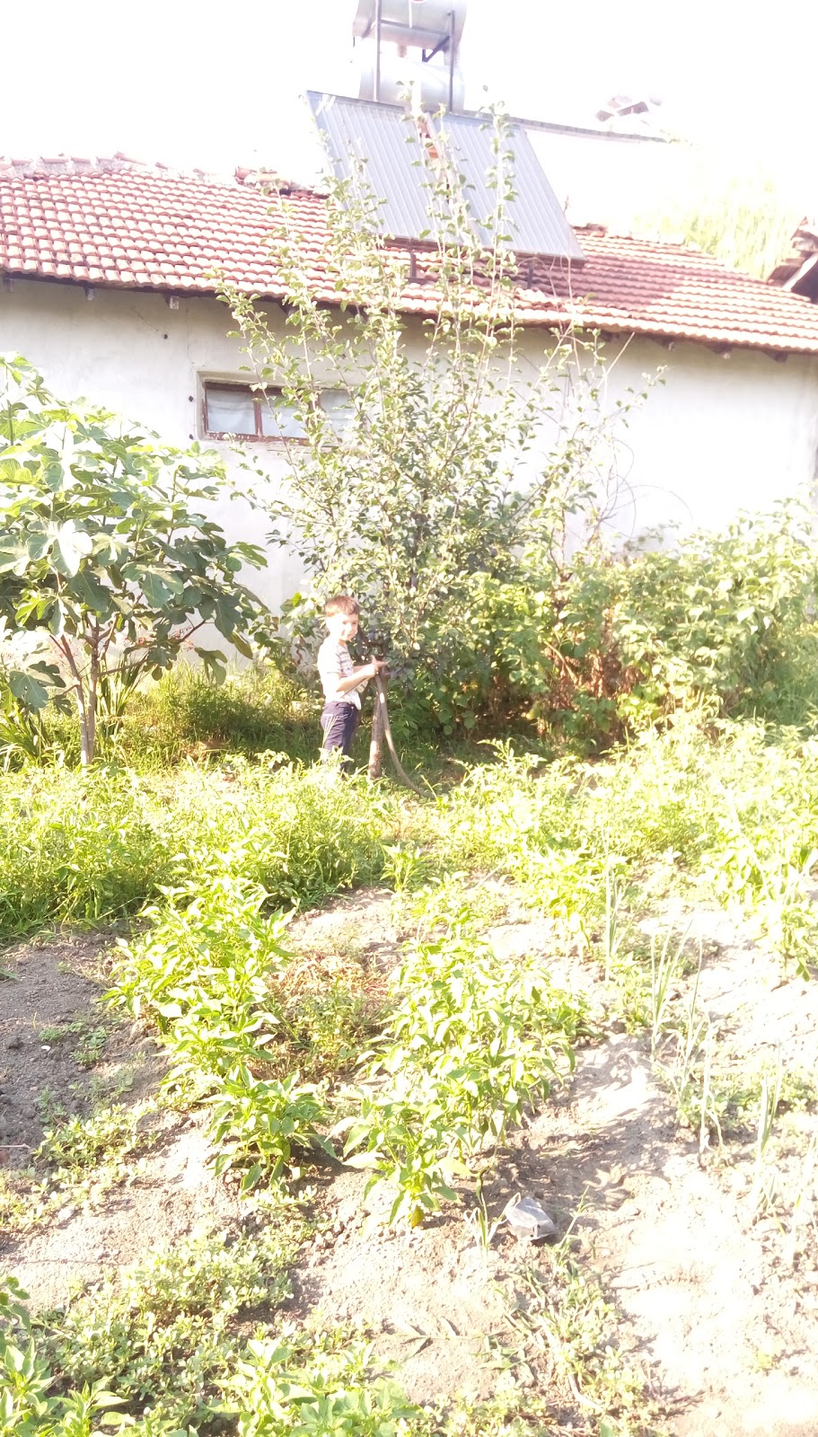 İnegöl Dipsizgöl İlkokulu Fotoğrafları 2