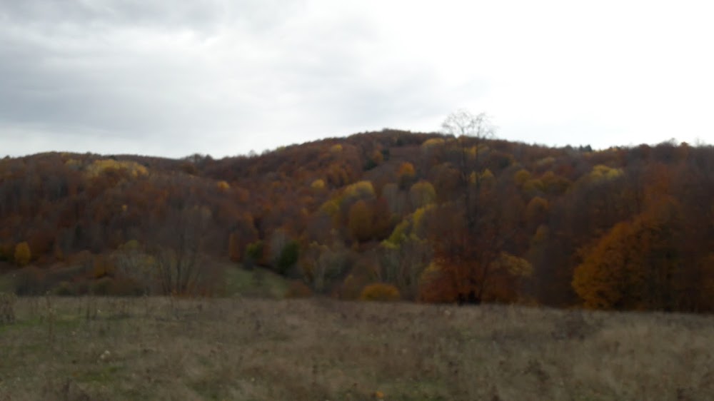İnegöl Hamitabat İlkokulu Fotoğrafları 2