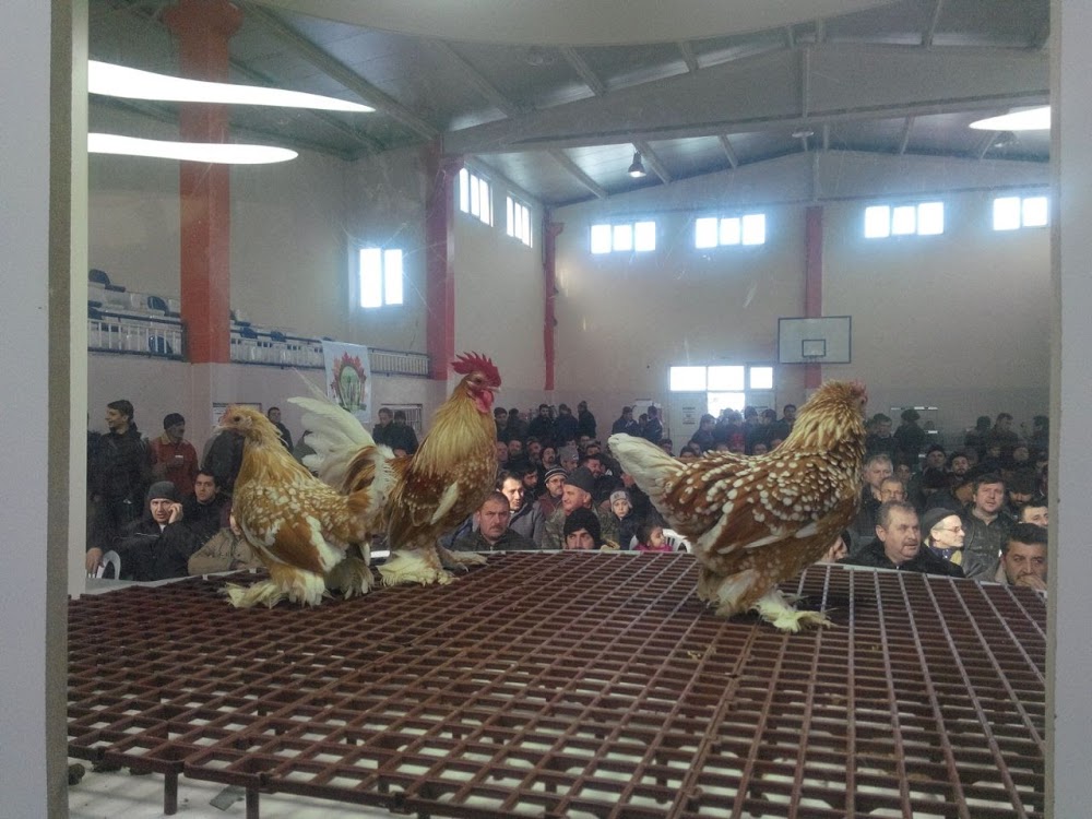 Müşerref-muzaffer Samda Ortaokulu Fotoğrafları 1