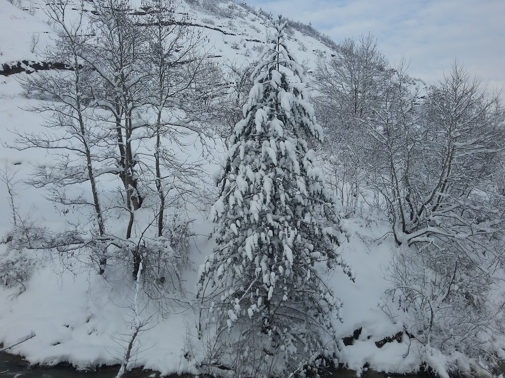 İnegöl Nuh Mehmet Küçükçalık Anadolu Lisesi Fotoğrafları 1