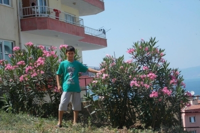 Şükrünailipaşa İlkokulu fotoğraf 11