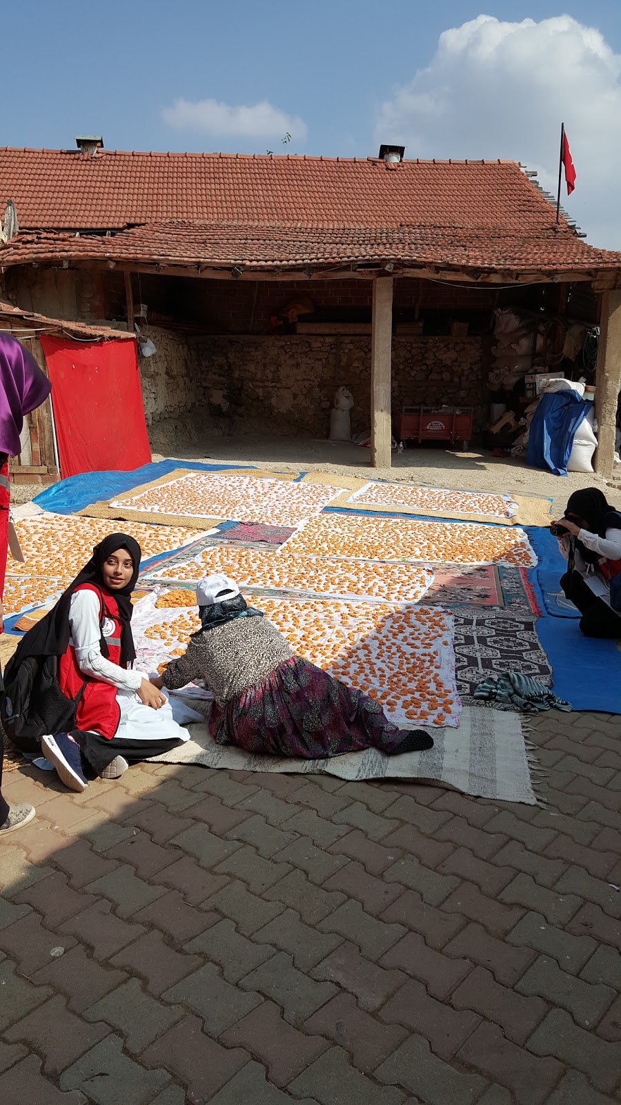 İnegöl Toki Mehmet Akif Ersoy Ortaokulu Fotoğrafları 3