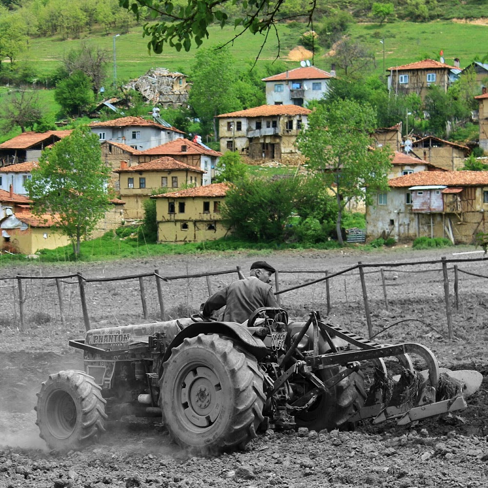 Tacir İlkokulu Fotoğrafları 2