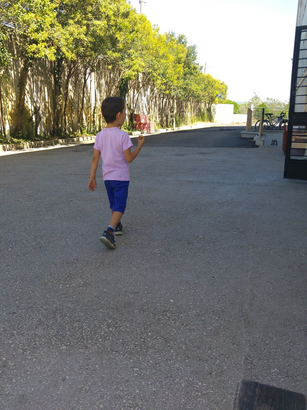 Dayı Karacabey Anadolu Lisesi Fotoğrafları 3