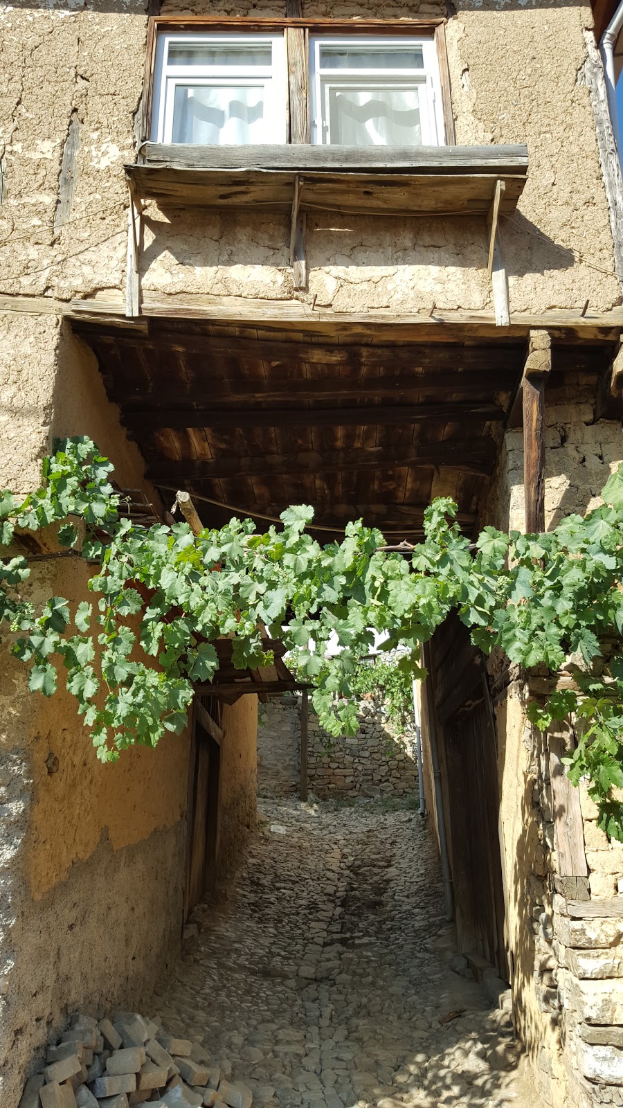 Gelemiç İlkokulu Fotoğrafları 4