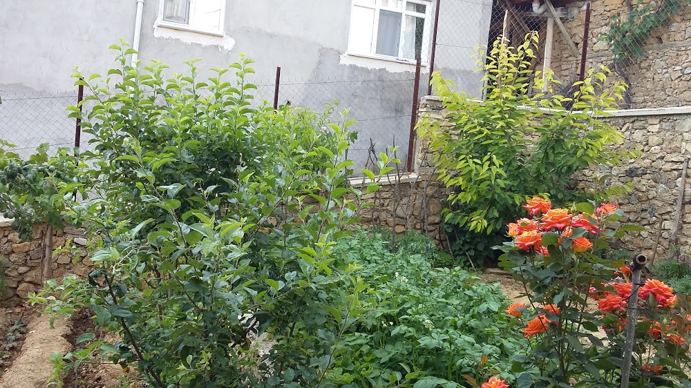 Gelemiç İlkokulu Fotoğrafları 5