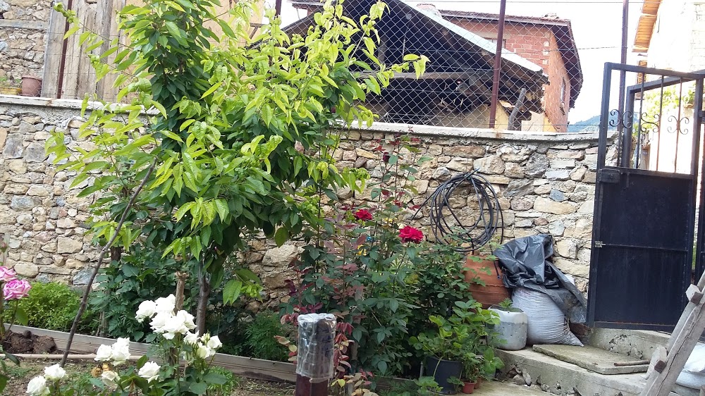 Gelemiç İlkokulu Fotoğrafları 2