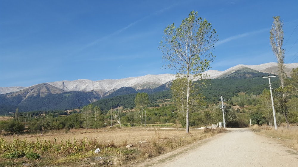 Pınarcık Dağdibi İlkokulu Fotoğrafları 3