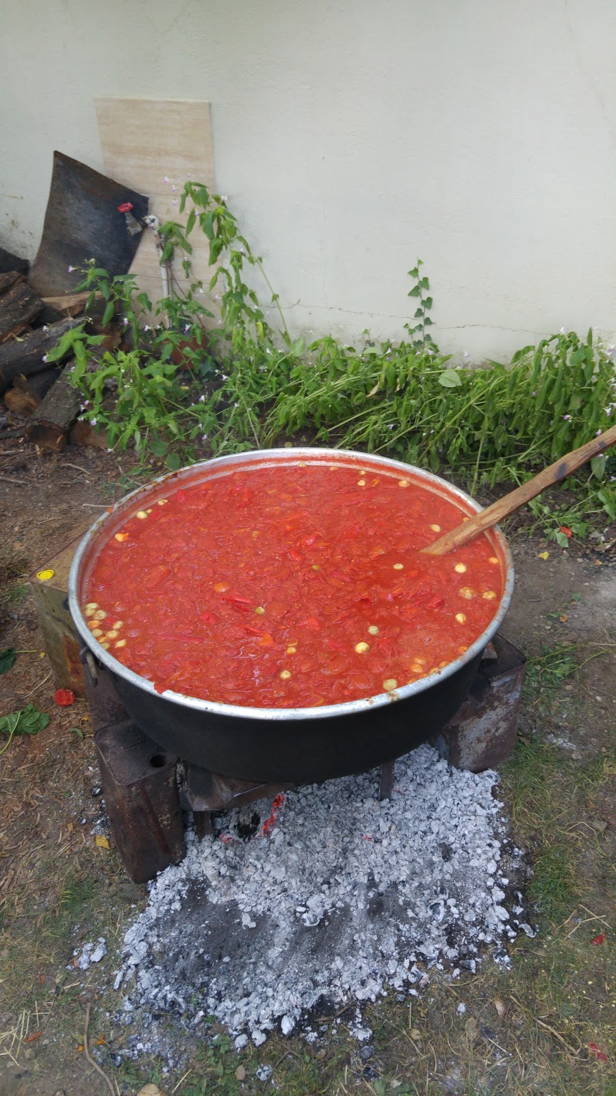 Babasultan Musa Coşkun İlkokulu Fotoğrafları 2