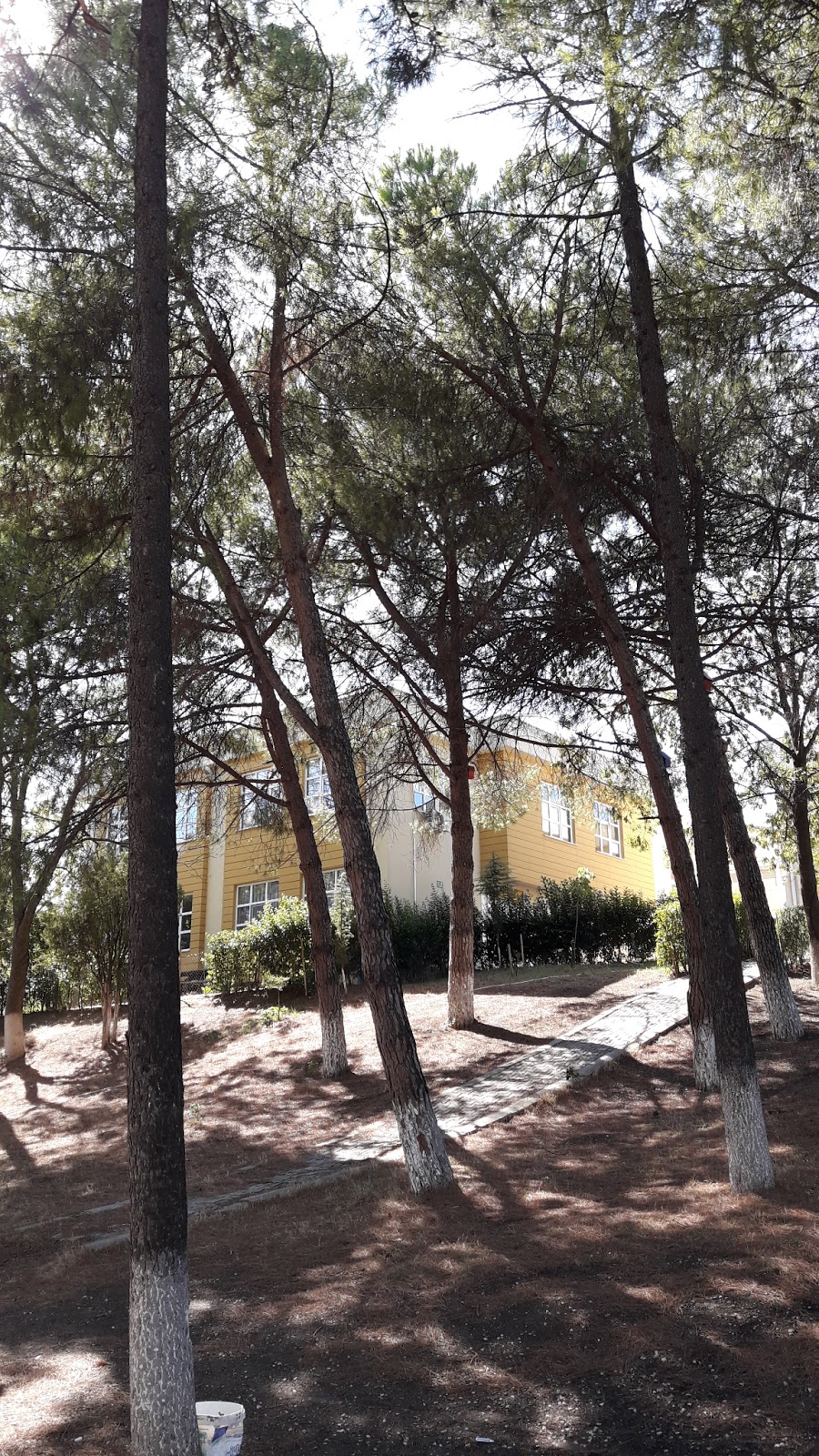 Necla Orhan İlkokulu Fotoğrafları 6