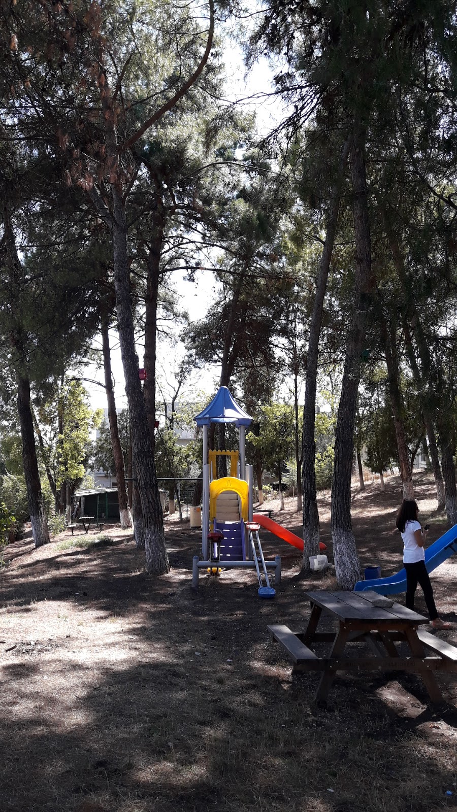 Necla Orhan İlkokulu Fotoğrafları 3