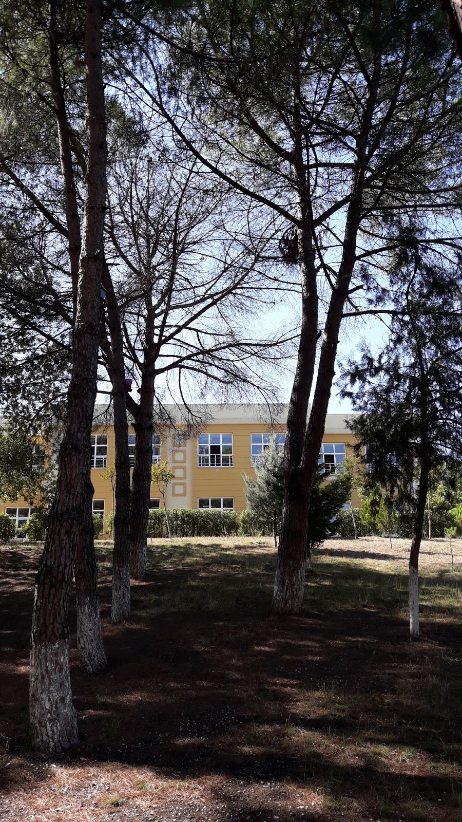 Necla Orhan İlkokulu Fotoğrafları 5