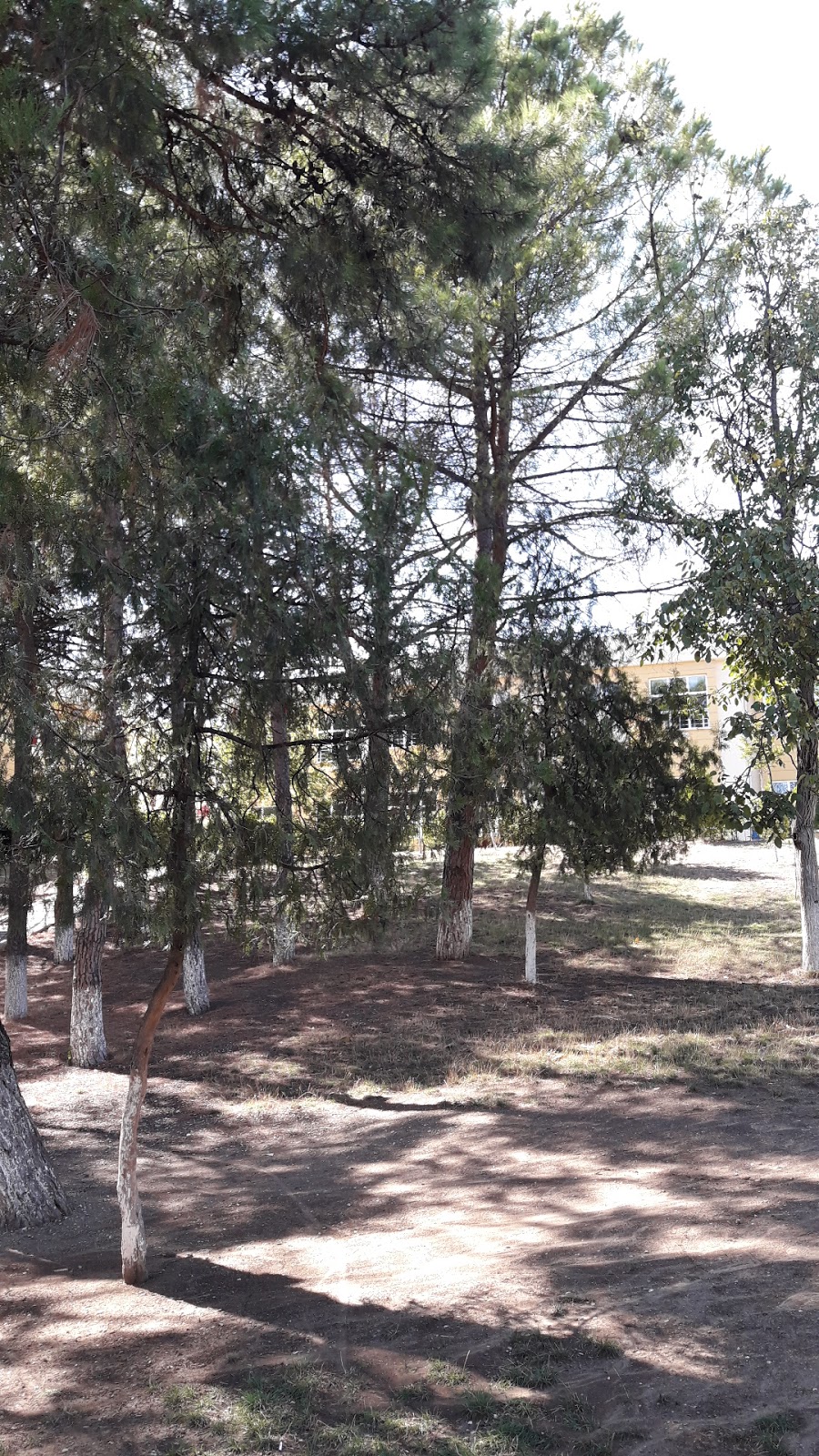 Necla Orhan İlkokulu Fotoğrafları 4