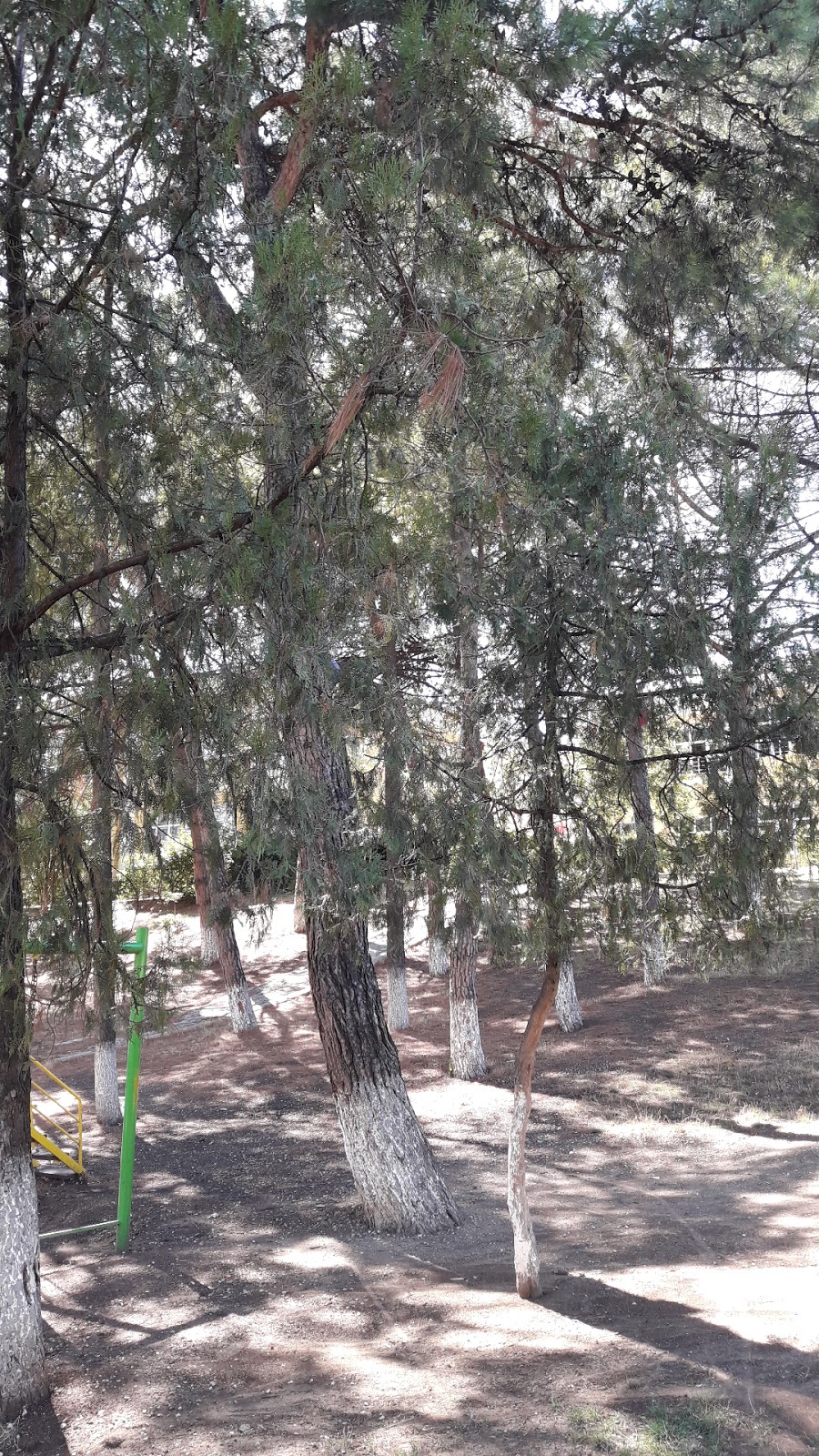 Necla Orhan İlkokulu Fotoğrafları 2