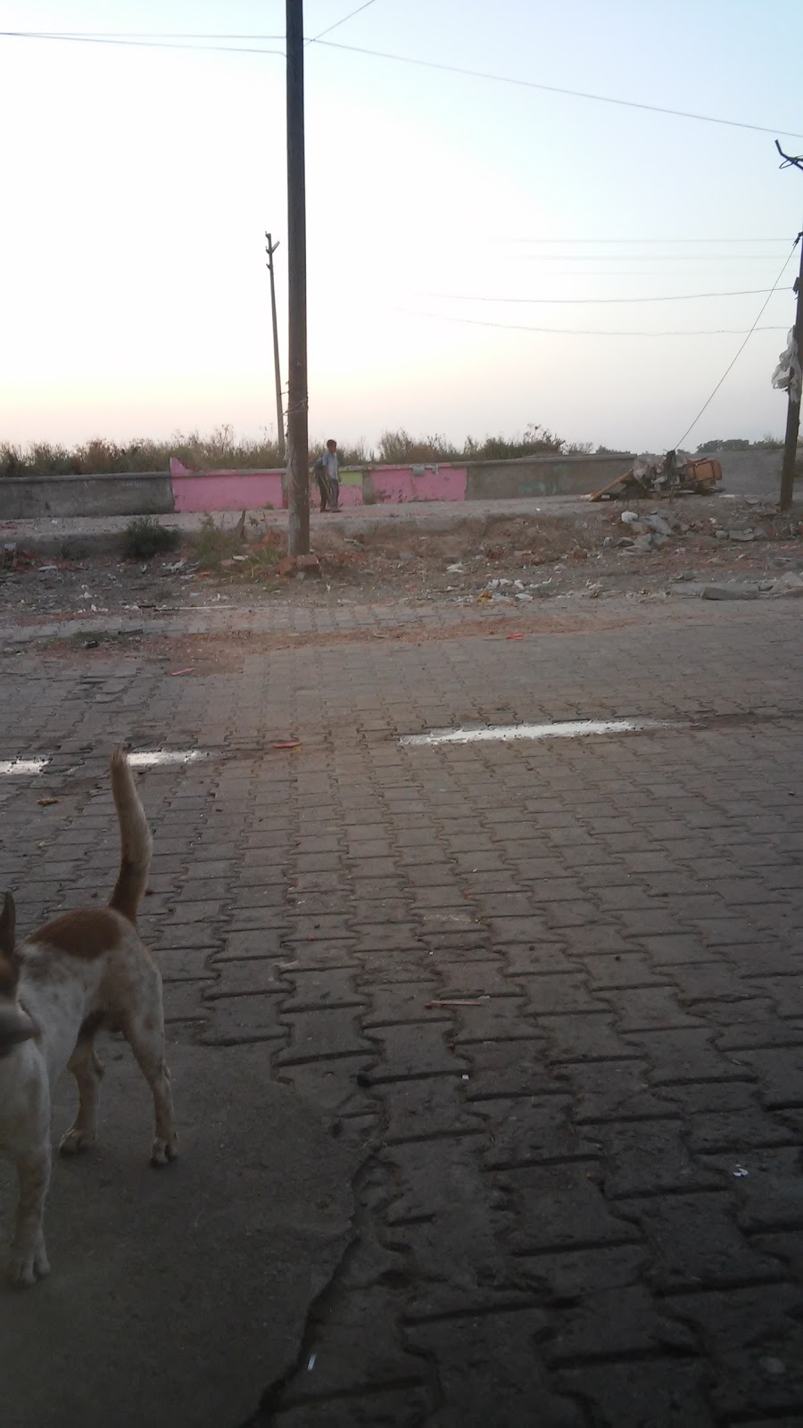 Devecikonağı Ortaokulu Fotoğrafları 4