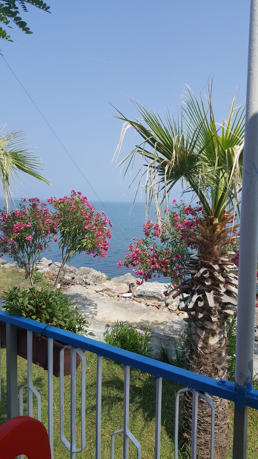 Mustafakemalpaşa Güllüce Ortaokulu Fotoğrafları 3