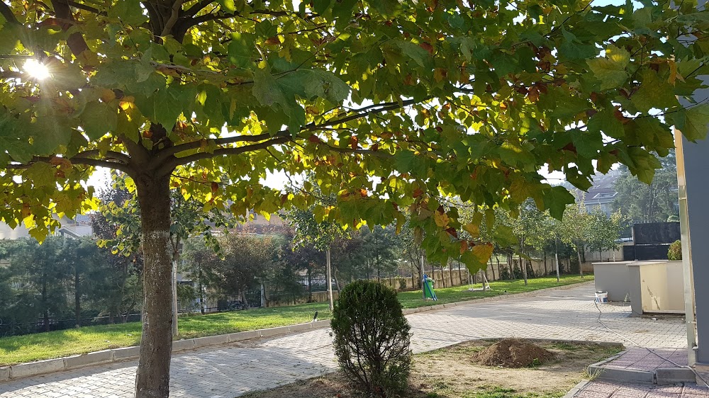 Nilüfer Çamlıca Anadolu Lisesi Fotoğrafları 2