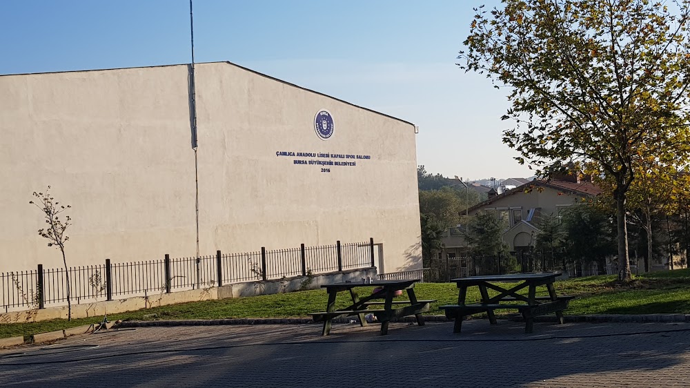 Nilüfer Çamlıca Anadolu Lisesi Fotoğrafları 3