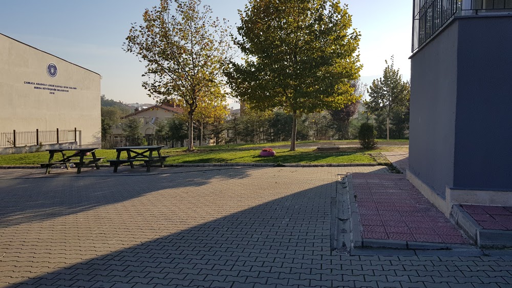 Nilüfer Çamlıca Anadolu Lisesi Fotoğrafları 4