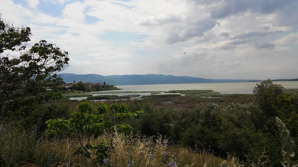 Gölyazı Ünallar İlkokulu Fotoğrafları 5