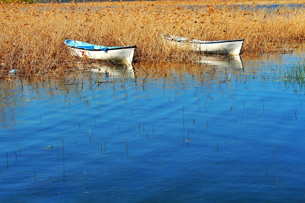 Gölyazı Ünallar Ortaokulu Fotoğrafları 2