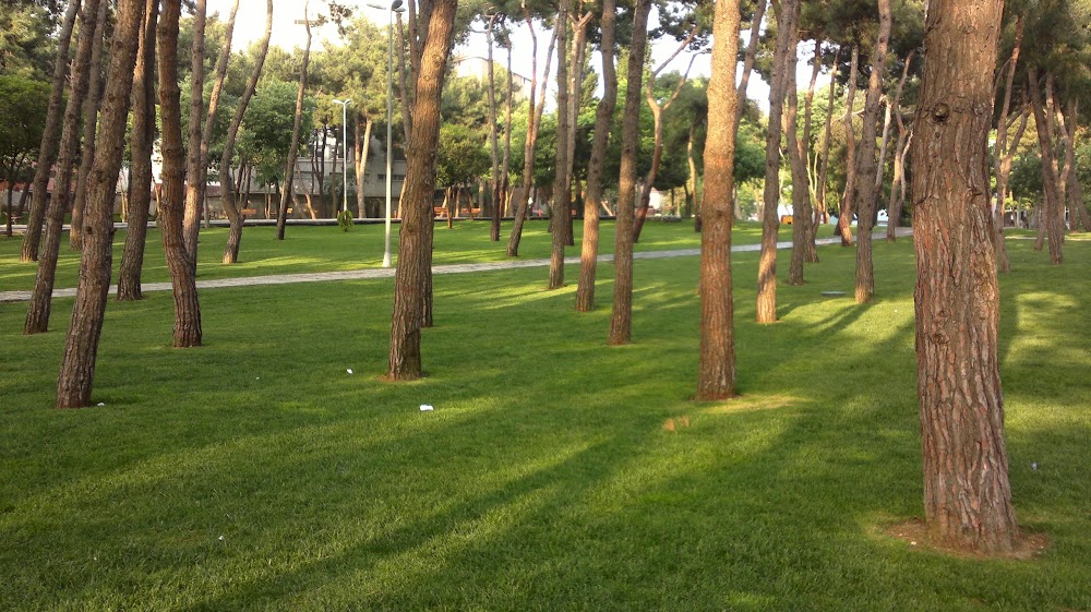 Gölyazı Ünallar İlkokulu Fotoğrafları 1