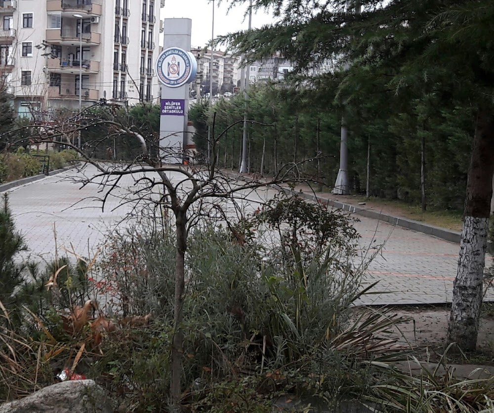 Nilüfer Şehitler Ortaokulu Fotoğrafları 3