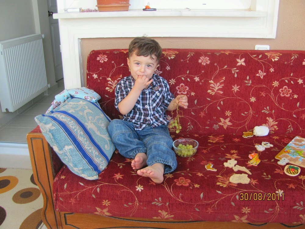 Fethiye Şehit Öğretmen Şekip Akın İlkokulu Fotoğrafları 2