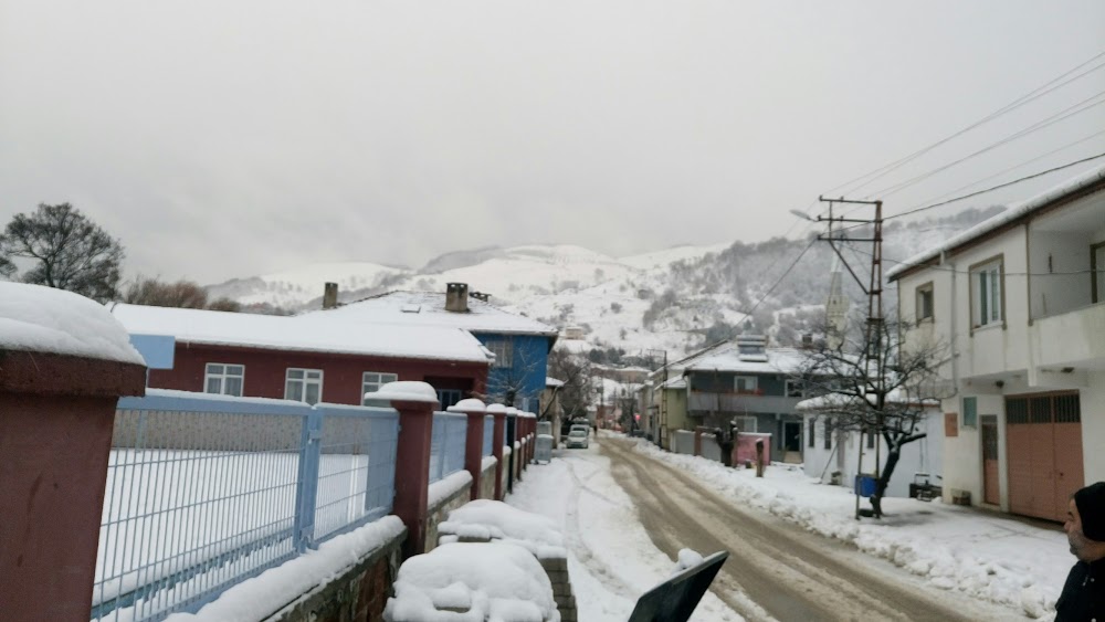 Gurleler Orhan Öcalgiray Ortaokulu kampüs fotoğrafı