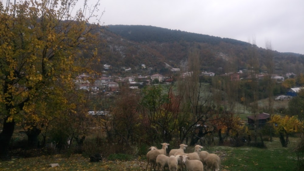 Gurleler Orhan Öcalgiray Ortaokulu Fotoğrafları 2