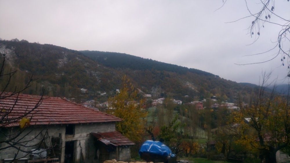 Ortaköy Orhan Öcalgiray Ortaokulu Fotoğrafları 3