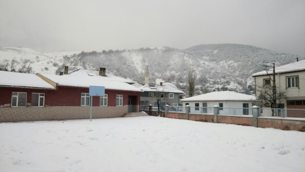 Örnekköy Orhan Öcalgiray İlkokulu Fotoğrafları 1