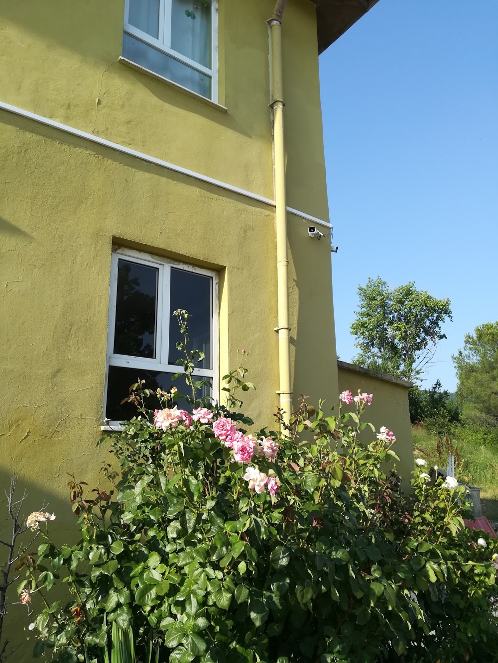 Üreğil İlkokulu Fotoğrafları 1