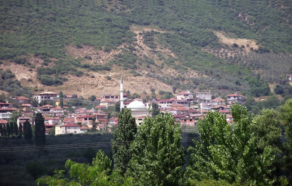 Üreğil İlkokulu Fotoğrafları 4