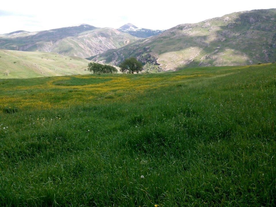 Ahmet Çabuk Ortaokulu Fotoğrafları 1