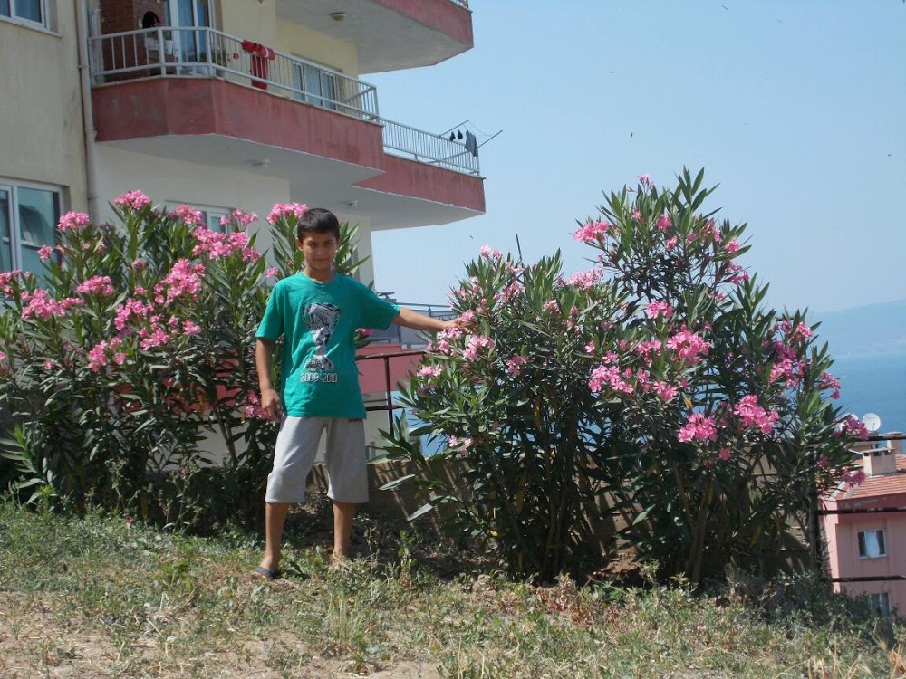 Mudanya Atatürk Ortaokulu Fotoğrafları 5